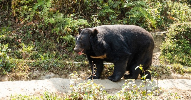 e6957_1413_0d2b5f15_840a7858