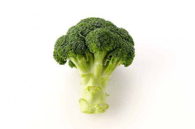 4200040_s