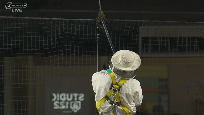 2024-05-01 11-57-32.mkv_snapshot_00.01_[2024.05.01_12.03.32]