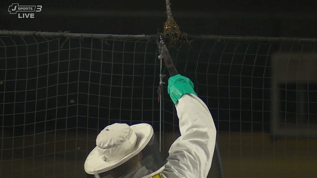 2024-05-01 11-57-32.mkv_snapshot_00.58_[2024.05.01_12.03.35]