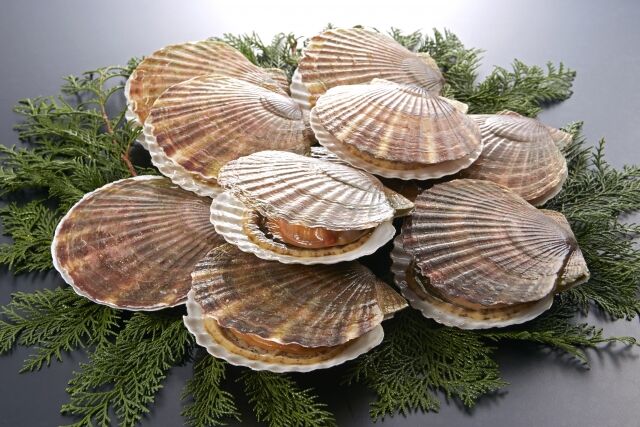 帆立とかいう歩く完全食、レベチｗｗｗｗｗｗｗｗｗｗｗｗｗｗｗｗｗｗ