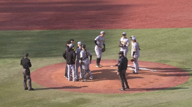 2025_03_18_15_02_21_977.mp4_snapshot_08.04.200