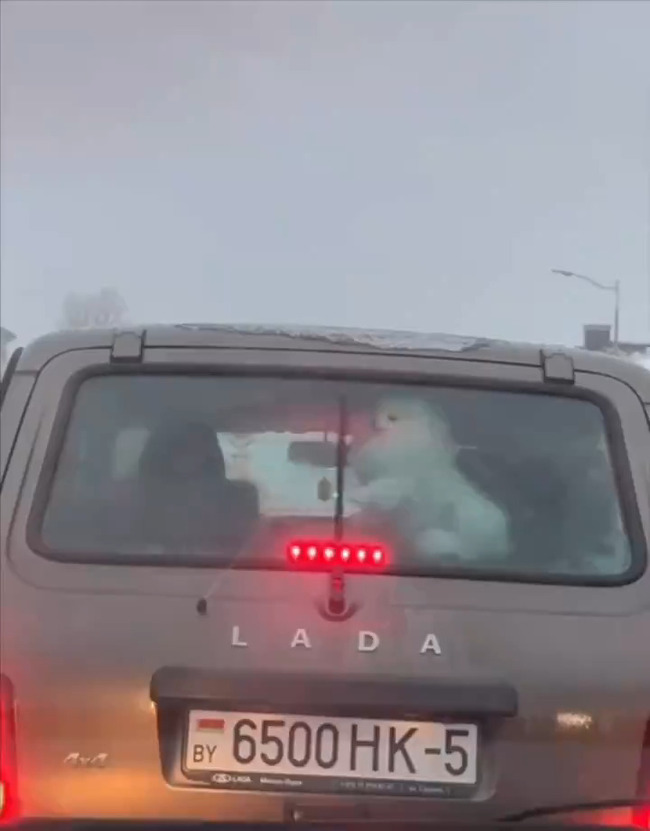 r6qoRdlYAfEOAfv8