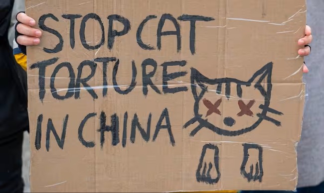 LJLXE464QFN5FHKU75EU7DNWFA