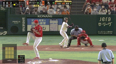 広島東洋カープアンテナ