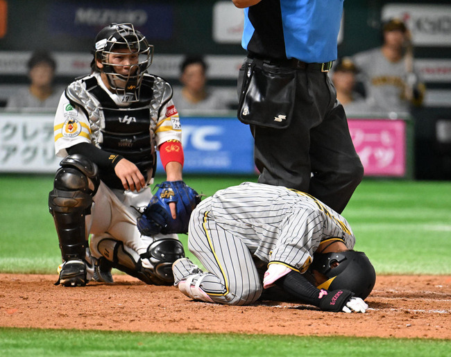 202406160000429-w1300_0