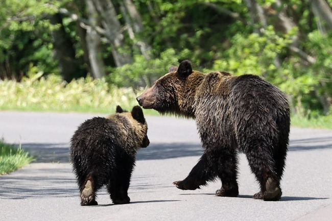 uUzvQ3lML_bkIqyakc1vFhNrRI0RUQxg5aFkrX0xDg1_T0wXrbEJjtNGtrf1