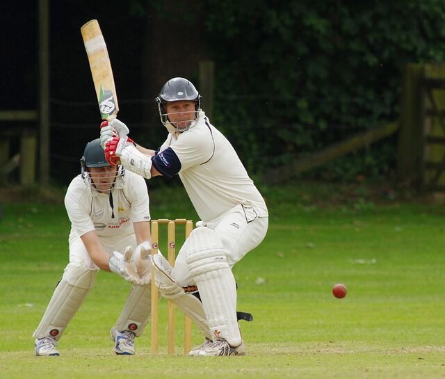 cricket-724617_640