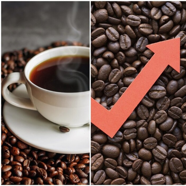 uUzvQ3lML_bkIqyakc1vFhNrRI0RUQxg5aFkrX0xDg1_T0wXrbEJjtNGtrf1