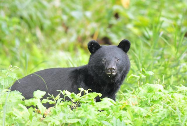 uUzvQ3lML_bkIqyakc1vFhNrRI0RUQxg5aFkrX0xDg1_T0wXrbEJjtNGtrf1