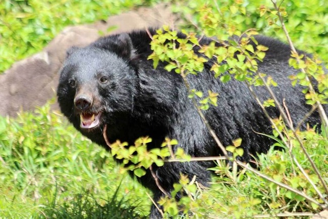 uUzvQ3lML_bkIqyakc1vFhNrRI0RUQxg5aFkrX0xDg1_T0wXrbEJjtNGtrf1