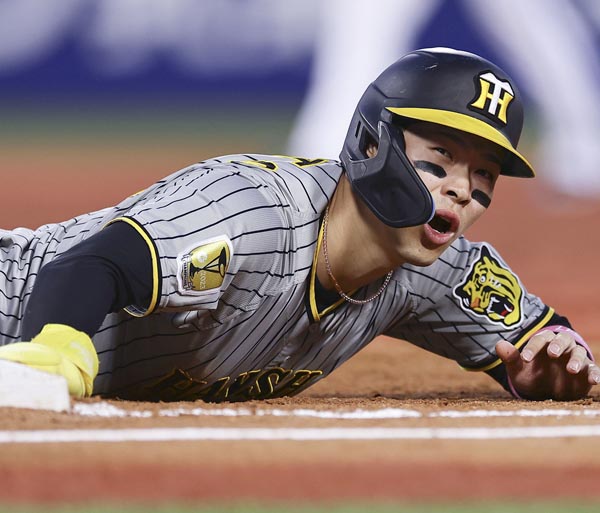 8ee9e2f8fa4d6e55b1d73832ee87ee7b20240516100319272