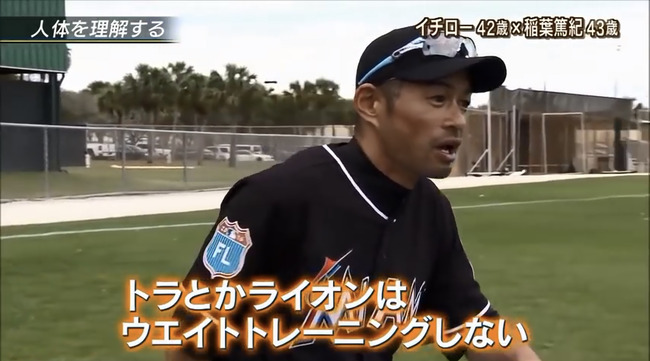 tHVOk9c