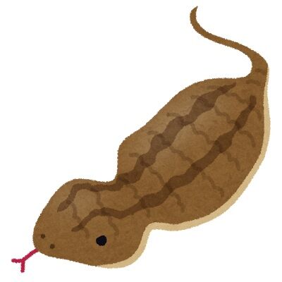 animal_tsuchinoko