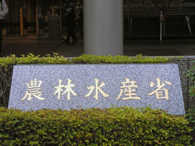 uUzvQ3lML_bkIqyakc1vFhNrRI0RUQxg5aFkrX0xDg1_T0wXrbEJjtNGtrf1