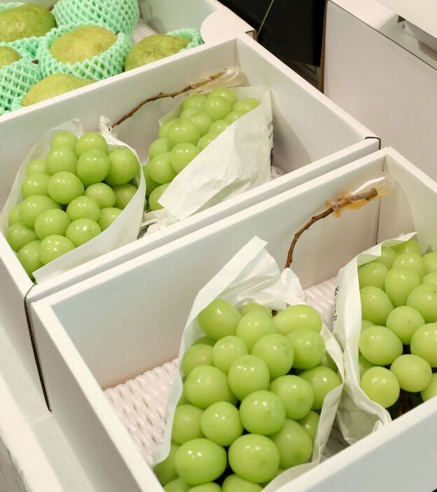 uUzvQ3lML_bkIqyakc1vFhNrRI0RUQxg5aFkrX0xDg1_T0wXrbEJjtNGtrf1