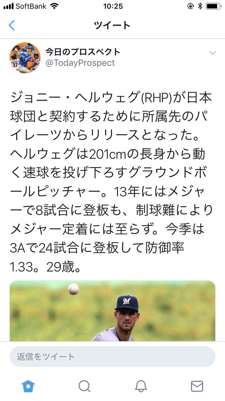 baseballlog 3Aで防御率1.33のヘルウェグ投手、広島と契約する コメント