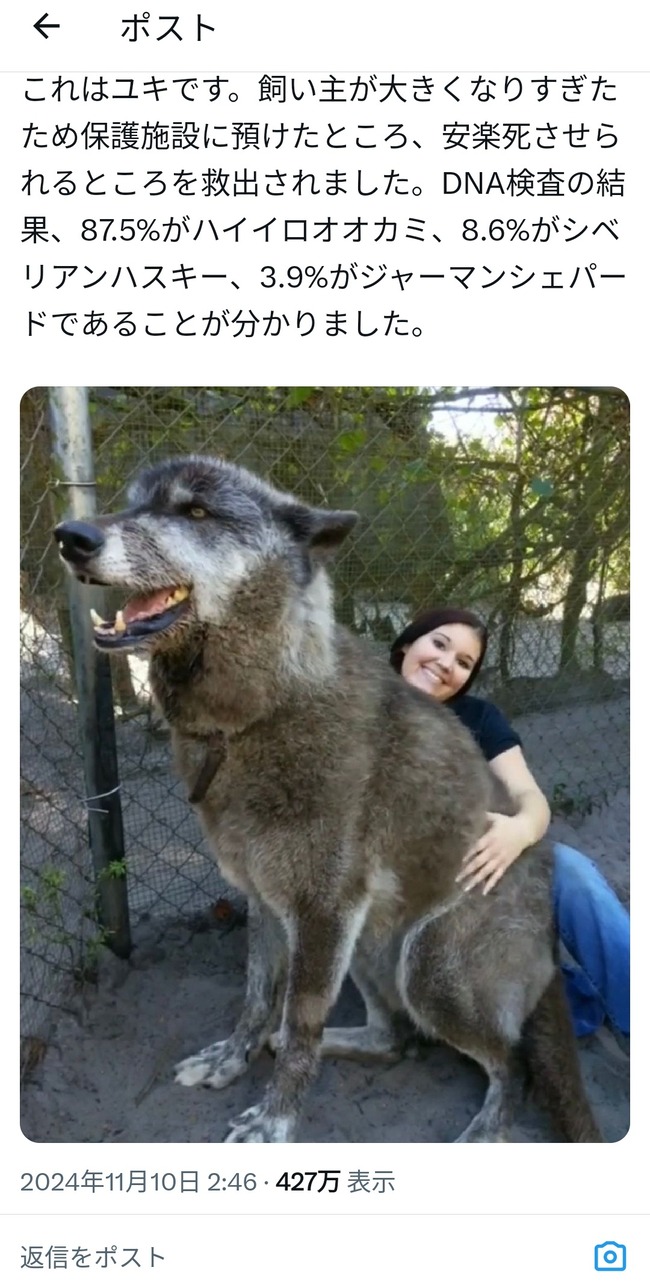 uYnP7Y5
