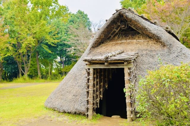 4135474_s
