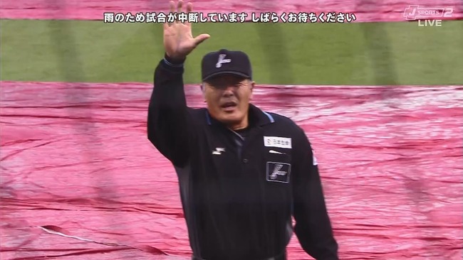 2024-06-02 15-49-55.mkv_snapshot_00.31_[2024.06.02_15.51.08]