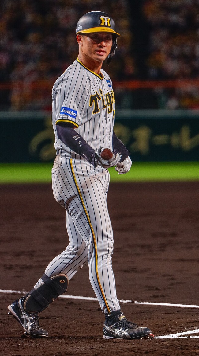 Seishio_Sakmoto_Tigers