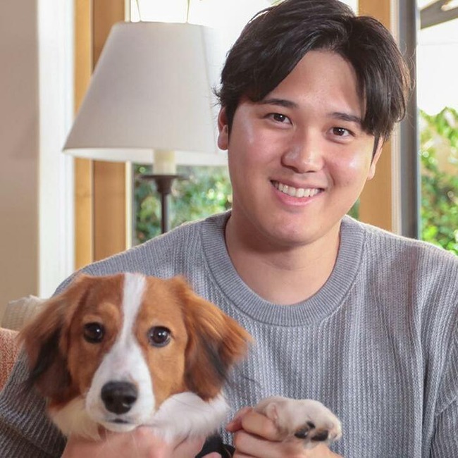 uUzvQ3lML_bkIqyakc1vFhNrRI0RUQxg5aFkrX0xDg1_T0wXrbEJjtNGtrf1