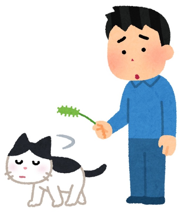 pet_natsukarenai_cat_man