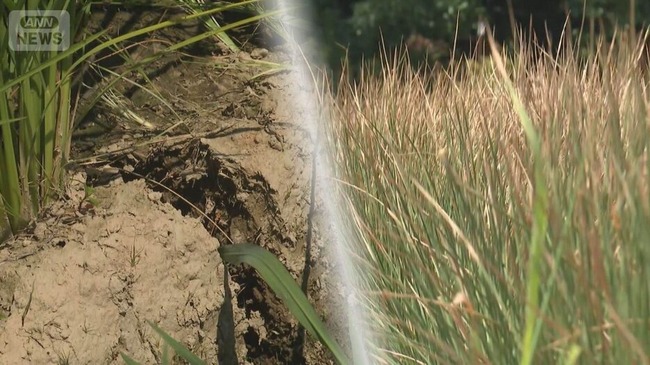 uUzvQ3lML_bkIqyakc1vFhNrRI0RUQxg5aFkrX0xDg1_T0wXrbEJjtNGtrf1