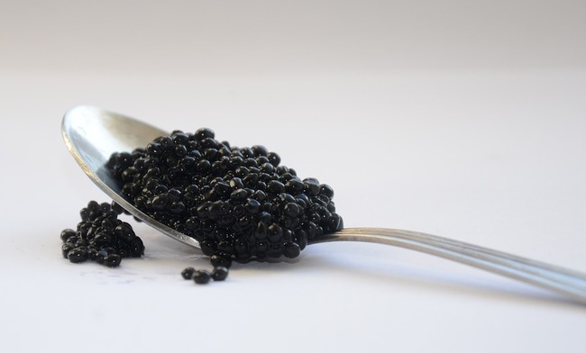 black-caviar-2315831_960_720