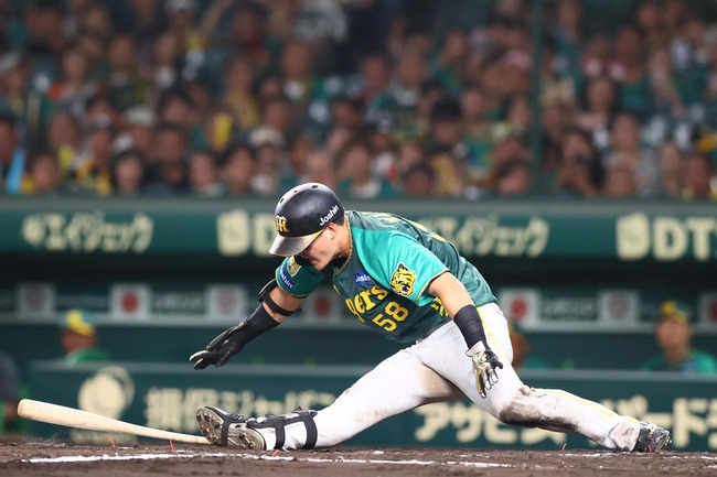 202407270002117-w1300_0