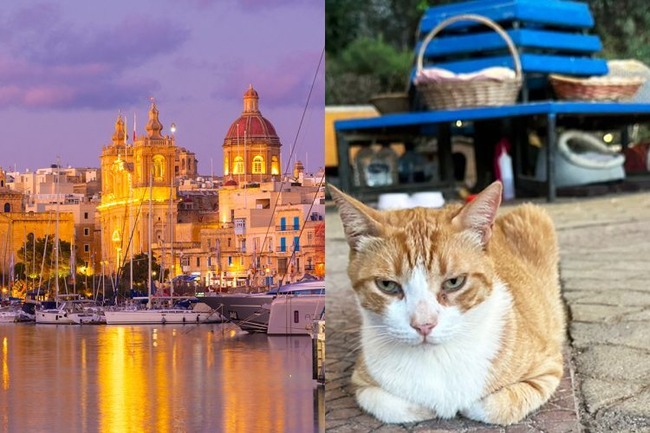 uUzvQ3lML_bkIqyakc1vFhNrRI0RUQxg5aFkrX0xDg1_T0wXrbEJjtNGtrf1