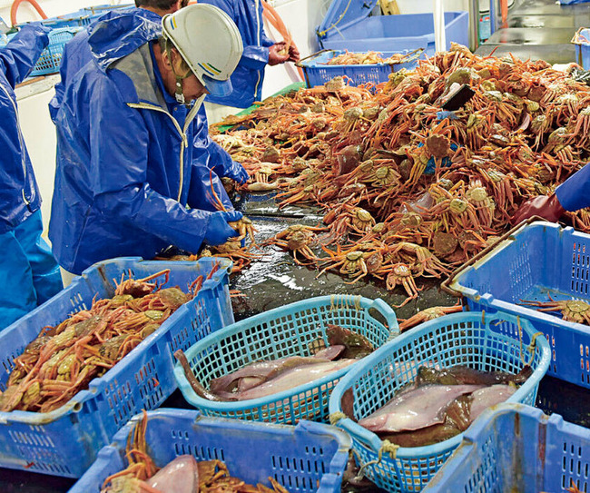 uUzvQ3lML_bkIqyakc1vFhNrRI0RUQxg5aFkrX0xDg1_T0wXrbEJjtNGtrf1