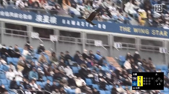 03_20_14_45_28_290.mp4_snapshot_03.09_[2024.03.20_14.50.11]