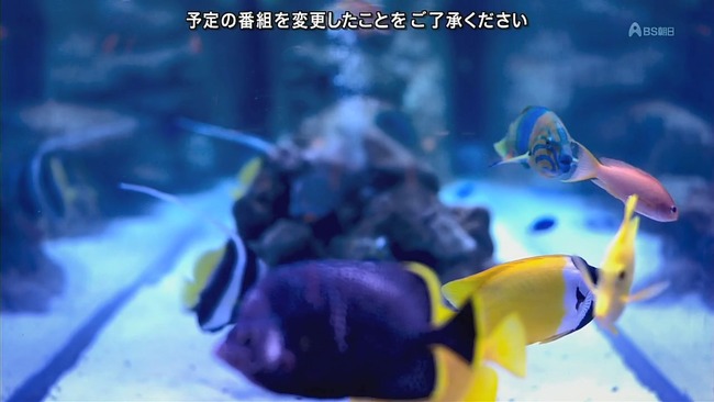 2024-07-23 22-49-36.mkv_snapshot_00.00_[2024.07.23_22.49.52]