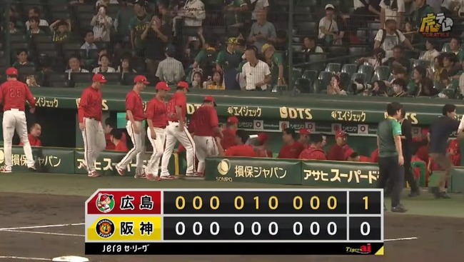 2024_07_19_20_45_22_678.mp4_snapshot_02.13.122