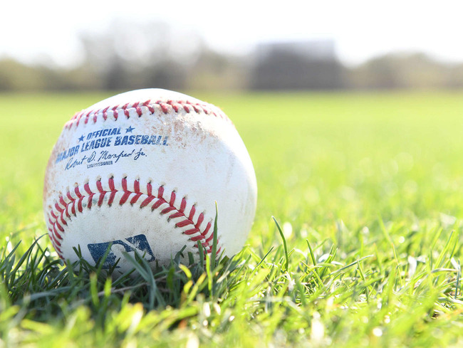 202409240000264-w1300_0