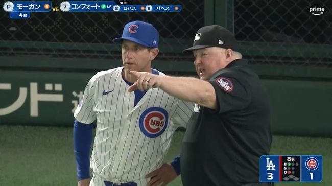 2025_03_18_21_06_50_287.mp4_snapshot_03.58.233