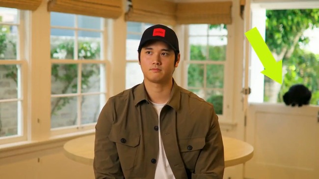 7oBi8LQIqQ4TwD3g.mp4_snapshot_00.01.380