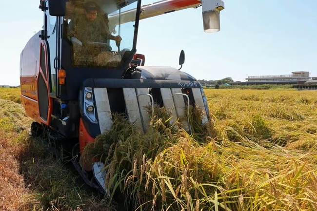 img_fc593a1140349bc33c56a28759493b3511610362