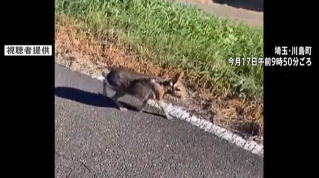 2023_12_23_17_16_22_438.mp4_snapshot_00.17.612