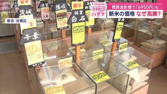 900173243_img_82110242fefd12546006e48db9f162ce110926