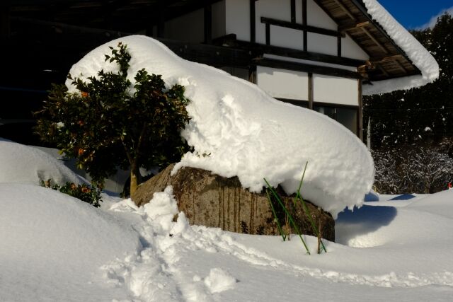 雪国の人って洗濯物どこに干してんの？