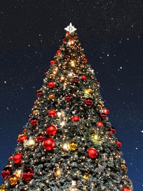 クリスマスイブなのに何してるの？