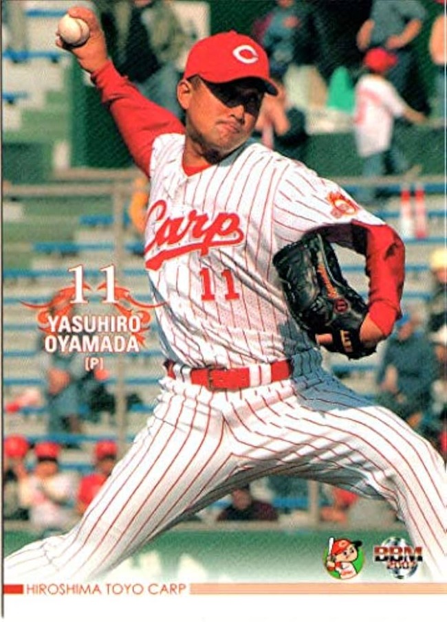 51+VLzcO3GL._AC_UF894,1000_QL80_