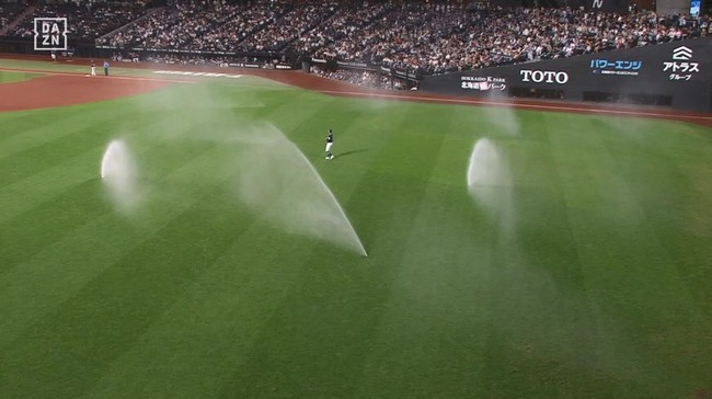 07_31_19_44_07_206.mp4_snapshot_12.31_[2025.07.31_19.59.49]