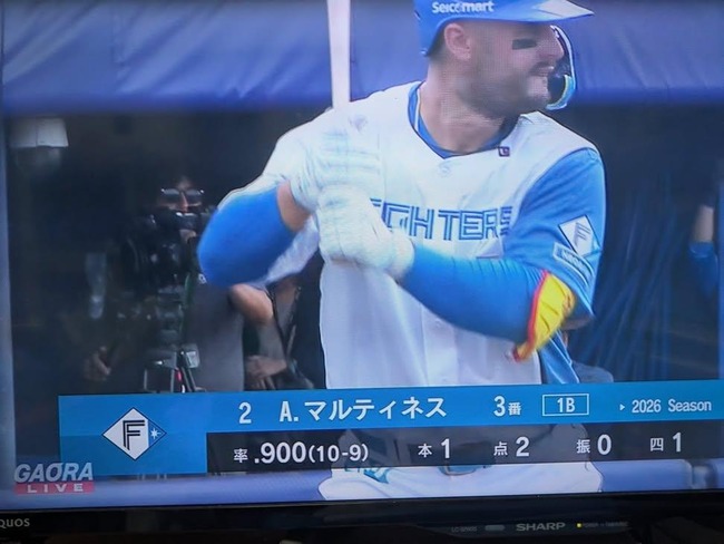 【画像】ハムのマルティネス、レベチwww