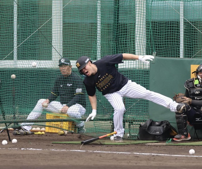 【悲報】昨季の死球0の佐藤輝明さん、打撃練習中に直接膝に死球をくらう
