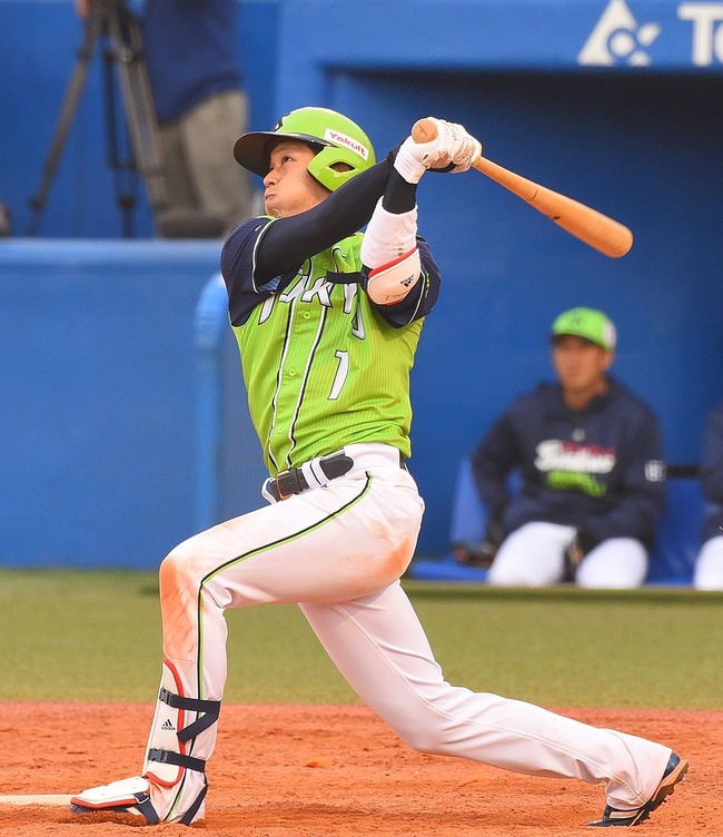 800px-Gk_ryoDSC_93972