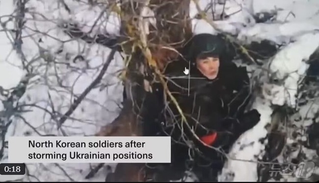 uUzvQ3lML_bkIqyakc1vFhNrRI0RUQxg5aFkrX0xDg1_T0wXrbEJjtNGtrf1