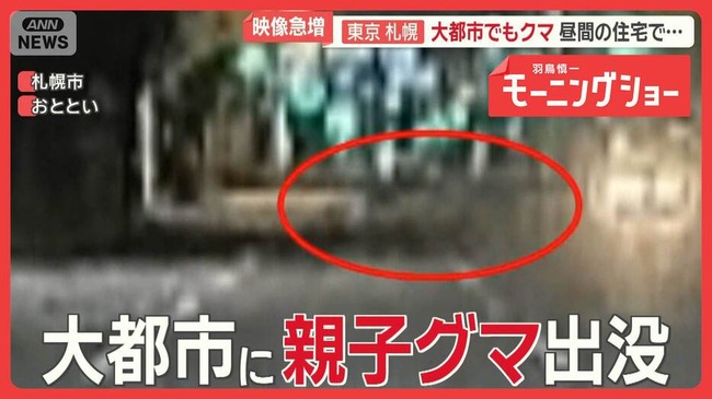 uUzvQ3lML_bkIqyakc1vFhNrRI0RUQxg5aFkrX0xDg1_T0wXrbEJjtNGtrf1